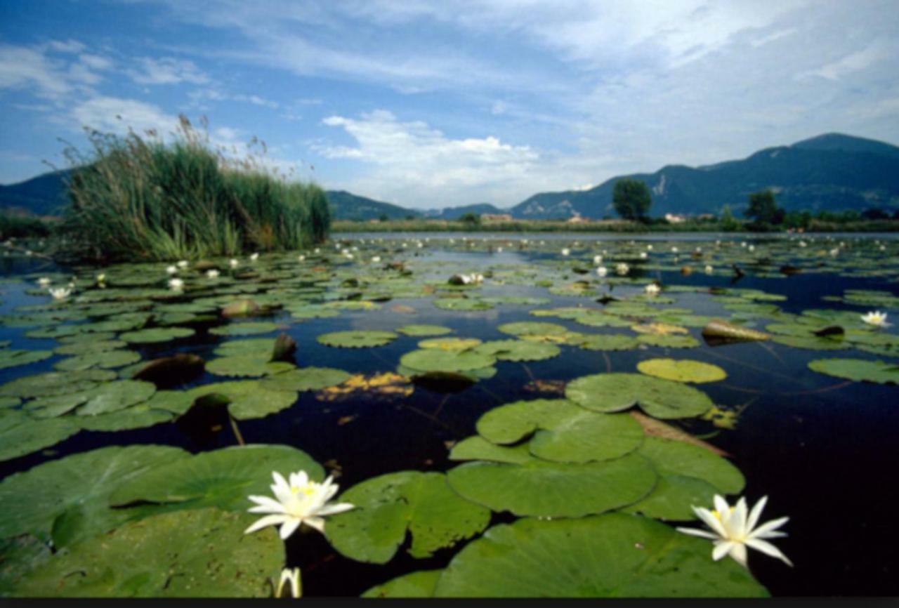 Iseo Lake Home Nature & Relax 외부 사진